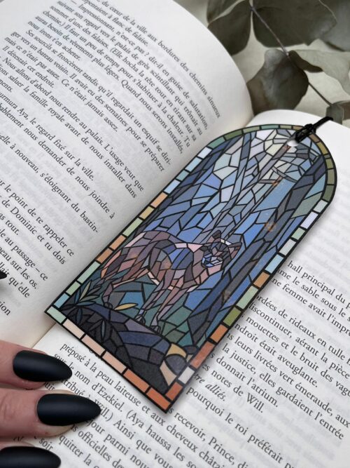 Édition limitée box Wolf