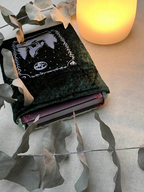 Pochette liseuse / poche verte